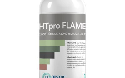 HTpro-Flame