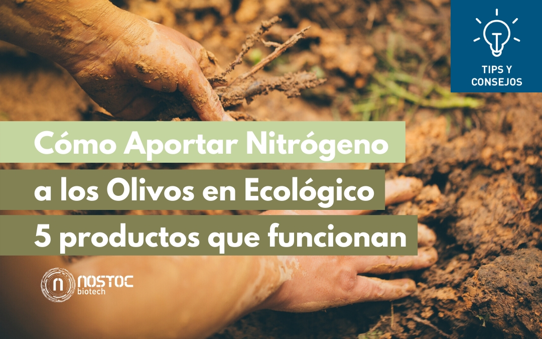 Cómo Aportar Nitrógeno a los Olivos en Ecológico (5 productos que funcionan)