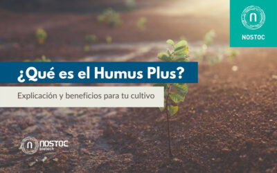 ¿Qué es el Humus Plus? Explicación y beneficios para tu cultivo