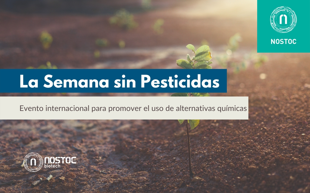 La Semana sin Pesticidas: evento internacional para promover el uso de alternativas químicas