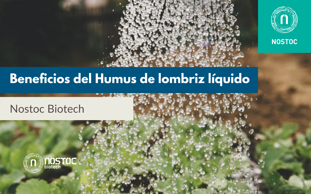 Beneficios del Humus de lombriz líquido de Nostoc Biotech