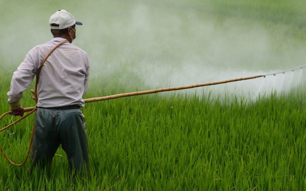 Agricultor que usa pesticidas (niveles máximos de residuos)