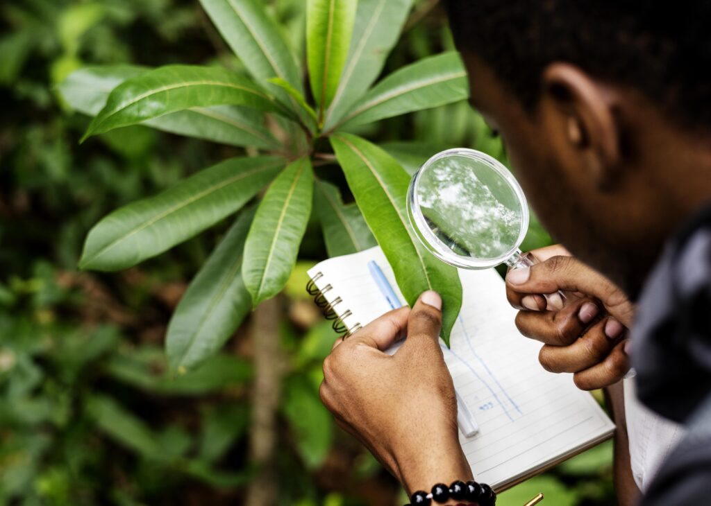 biólogo con lupa mirando una planta con un cuaderno y un bolígrafo