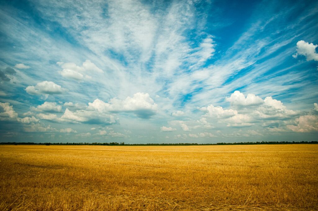 imagen de campo bajo cielo con nubes